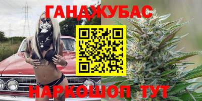 apvp Можга