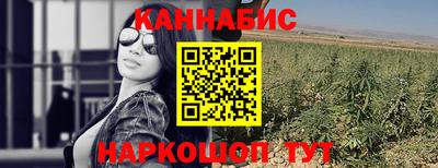 apvp Можга