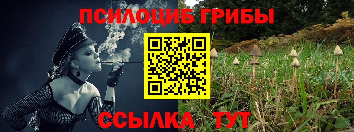Псилоцибиновые грибы прущие грибы Вязьма
